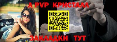 дмт Аргун