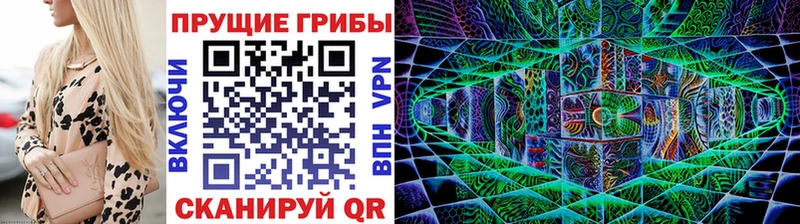 как найти закладки Вольск Галлюциногенные грибы мицелий