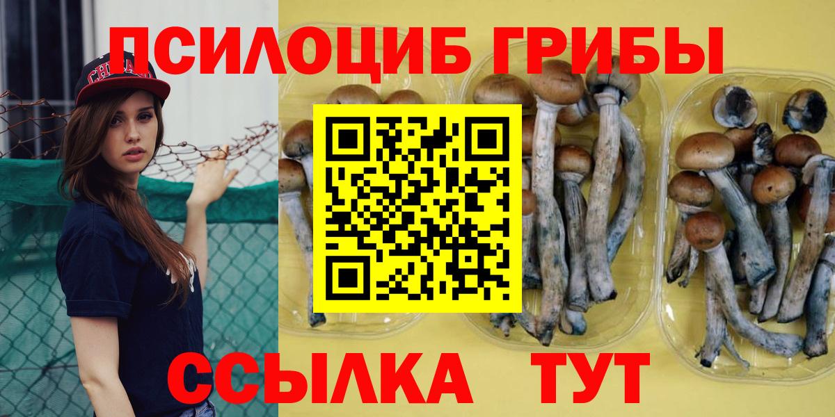 Псилоцибиновые грибы Cubensis Вольск