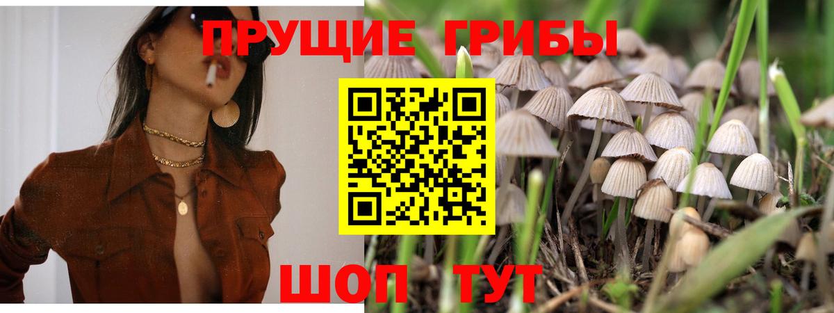 Псилоцибиновые грибы MAGIC MUSHROOMS  Вход с VPN  Вольск 